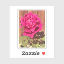 Coloré Élégant rose Floral Flower rose