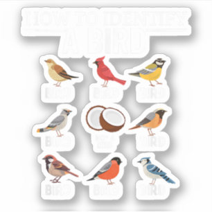 Sticker Comment identifier un oiseau Drôle d'observation d