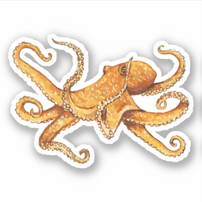 Sticker Conception Nautique Octopus (Devant)