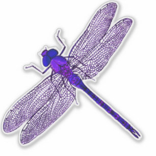 Sticker Contour de libellule pourpre