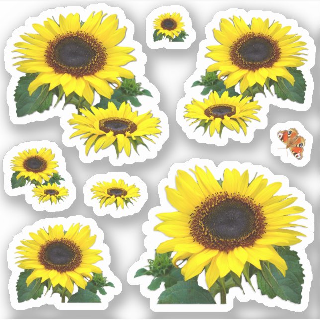Sticker Contour des tournesols (Devant)