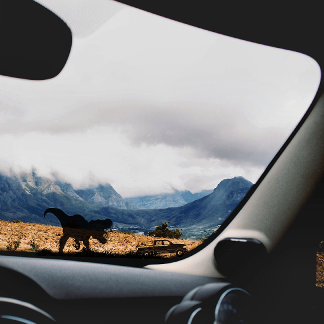 Sticker Cool T-rex Dinosaur Pour Camion