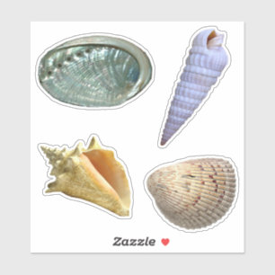 Sticker Coquillages Assortis