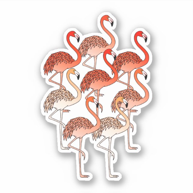 Sticker Coral Color Flamingos (Devant)