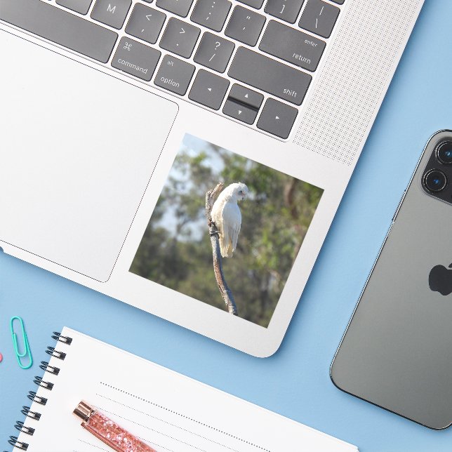 Sticker Corella Bird (Ordinateur portable avec iPhone)