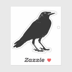 Sticker Corneille noire