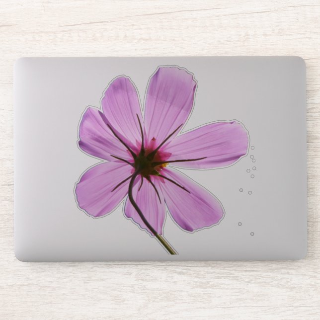 Sticker Cosmos roses (Ordinateur)