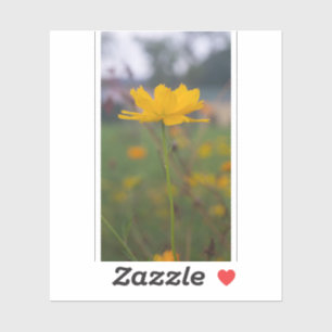 Sticker Cosmos sulfur 05