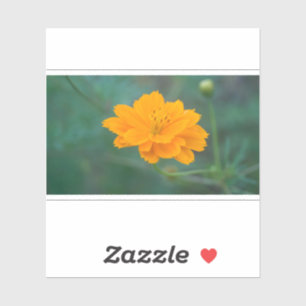 Sticker Cosmos Sulfureux 03