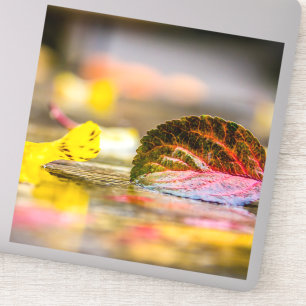 Sticker Couleurs d'automne