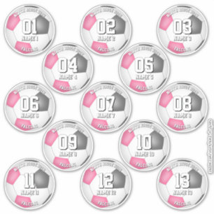 Sticker couleurs de l'équipe de football féminine rose gri