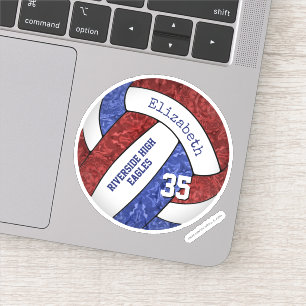 Sticker Couleurs de l'équipe de volley-ball marron bleu gi