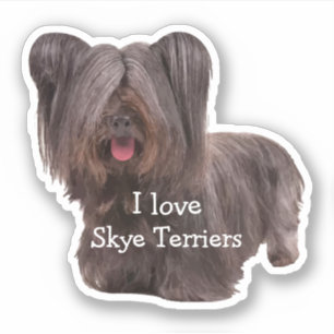 Sticker Coupe-circuit de race de chien de Skye Terrier