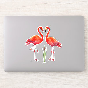 Sticker Couple de flamants roses magnifiques