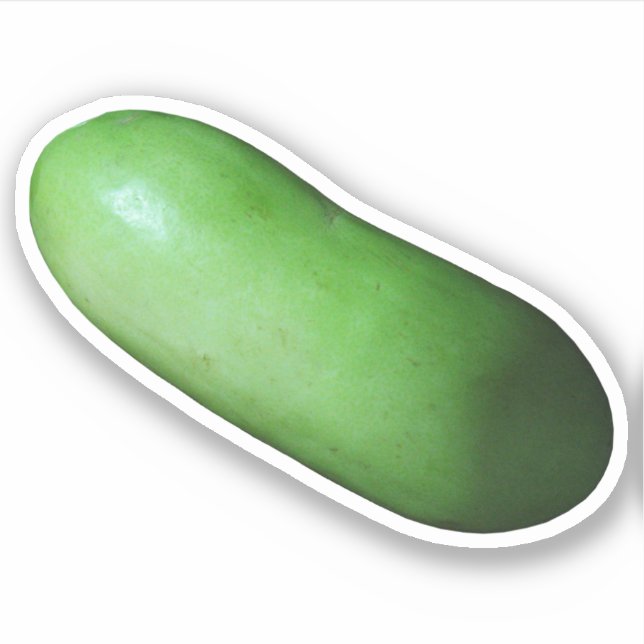 Sticker Courge verte (Melon d'hiver) (Devant)