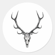 Sticker crâne cerf Antler