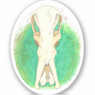 Sticker Crâne Platypus