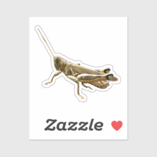 Sticker criquet