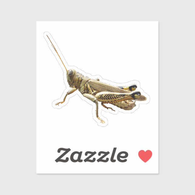 Sticker criquet (Feuille)