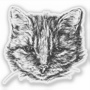 Sticker Croquis de chat Tabby