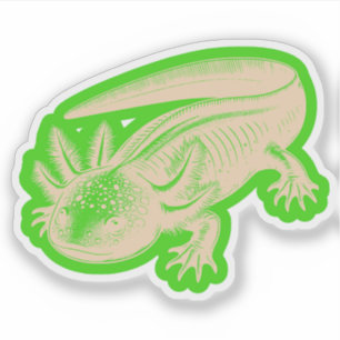 Sticker Cute Axolotl Nouveautés Dessins Profond Bois Palet