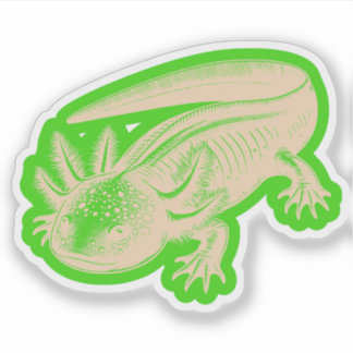 Sticker Cute Axolotl Nouveautés Dessins Profond Bois Palet
