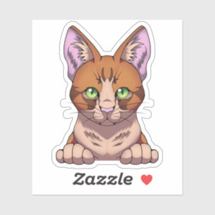 Sticker Cute chat