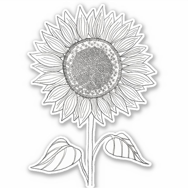 Sticker Cute Elegant Boho Noir et Blanc Crayon Tournesol (Devant)