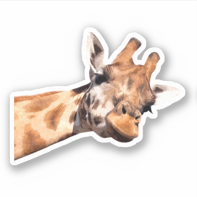 Sticker Cute Giraffe Portrait (Devant)