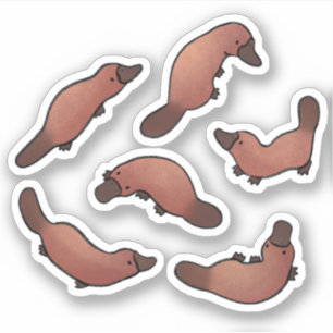 Sticker Cute Platypus