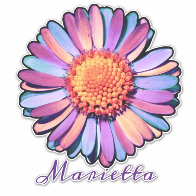 Sticker Cute Violet Rose Bleu Boho Daisy Personnalisé Bi (Devant)