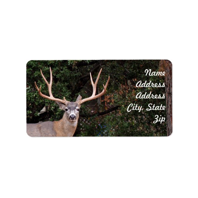 Sticker d'adresse de cerf (Devant)