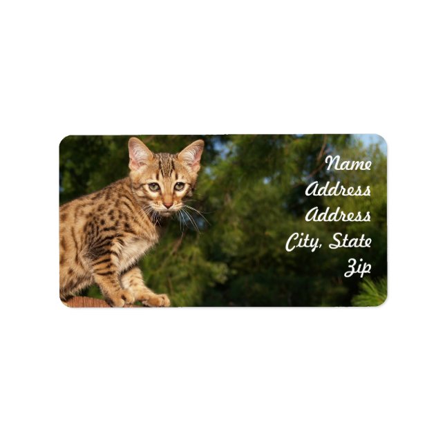 Sticker d'adresse de chat Savannah (Devant)