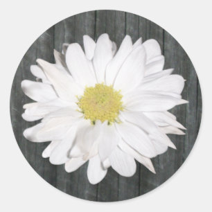 Sticker Daisy & Barnwood