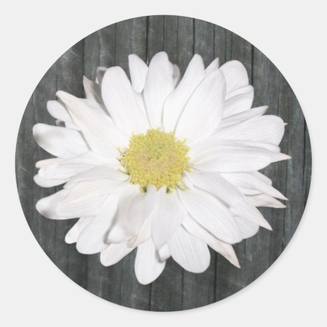 Sticker Daisy & Barnwood (Devant)