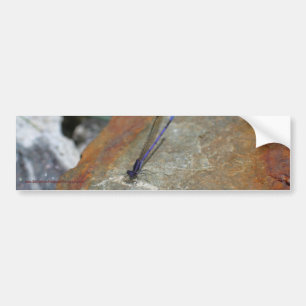 Sticker Damselfly Nature Bumper Car Art