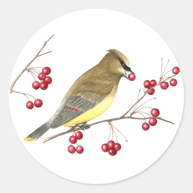 Sticker d'art pour oiseaux en cèdre (Devant)