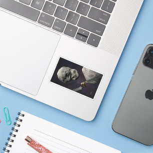 Sticker Dart Spacecraft Et Le Liciacube Avant Impact