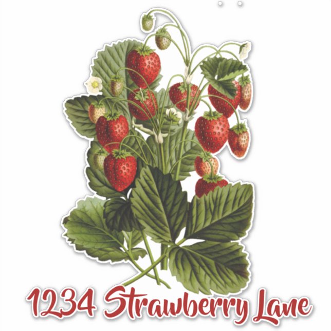 sticker de boîte aux lettres de fraises (Devant)