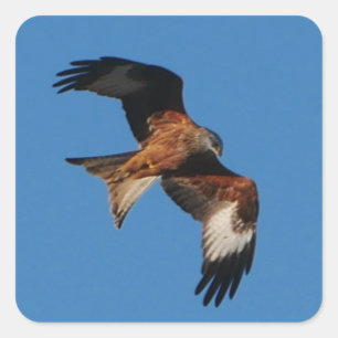 Sticker de cerf-volant