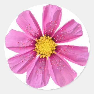 Sticker de chimie des fleurs