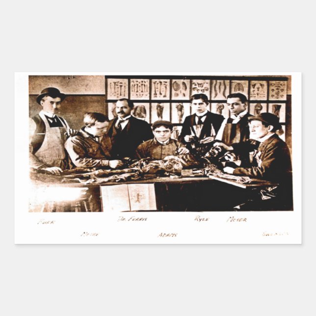 Sticker de classe d'anatomie Médicale Yale (Devant)