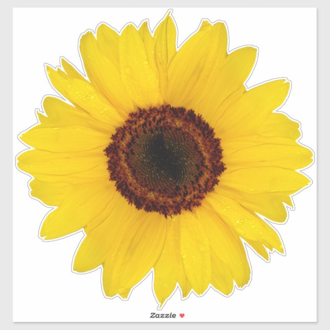 Sticker de contours de tournesol (Feuille)