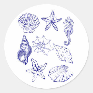 Sticker de coquillage nautique - Ligne bleue Art O