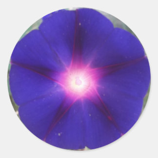 Sticker de gloire du matin sombre