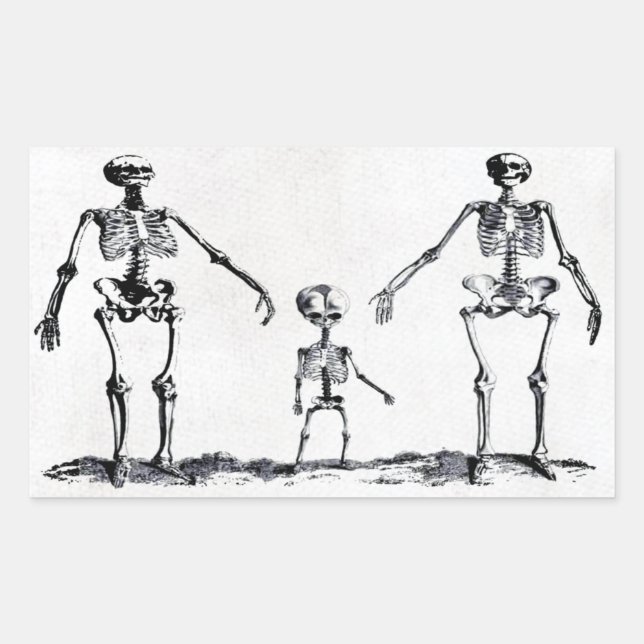 Sticker de la famille Skeleton (Devant)