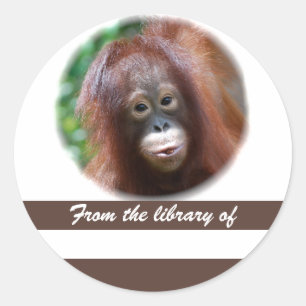 Sticker de livre de Lover primate