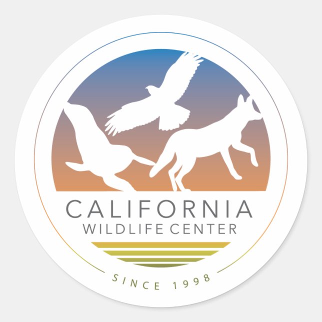 Sticker de logo Six CWC (Devant)