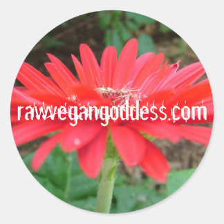 Sticker de marguerite