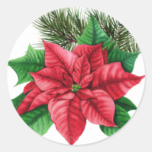 Sticker de Noël Poinsettia